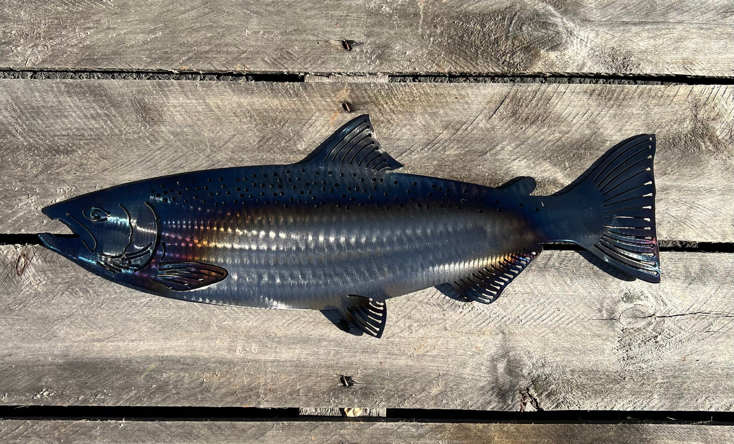 Steelhead Fish